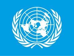 Жителей города приглашаем принять участие в онлайн-опросе в преддверии 75-летия образования Организации Объединенных Наций